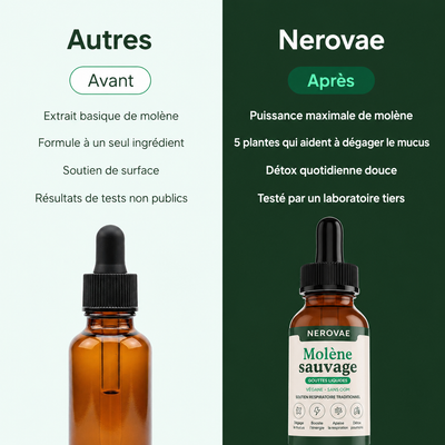 Nerovae - Retrouve ton souffle