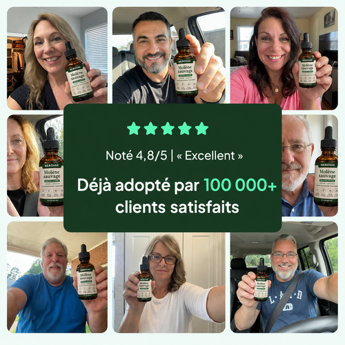 Nerovae - Retrouve ton souffle